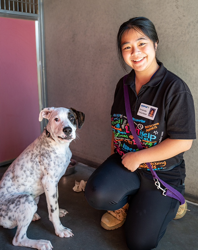 RSPCA Queensland volunteer, Amanda Chen